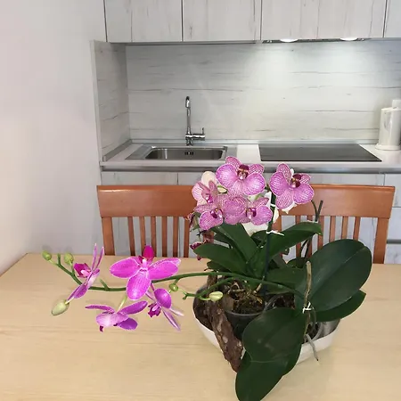 Casa Eva Garden