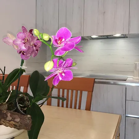 Apartman Casa Eva Garden *
